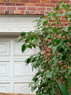 Replacement of steel lintel and replacement of brick.