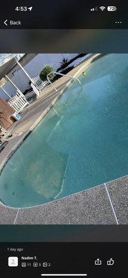 Nadims Pool after we shocked, brushed, and filter cleaned.