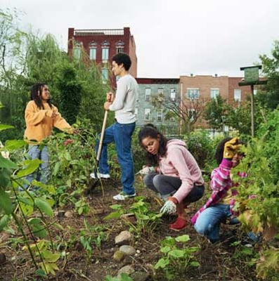 gardening for the fresh flowers and beautiful plants