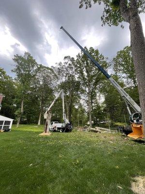 Crane and bucket truck set up in yard.