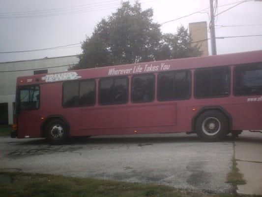 Another shot of A Transpo Gillig Low Floor.