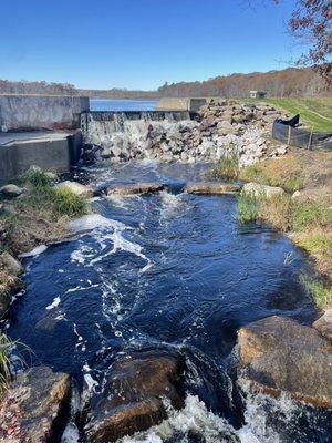 Fish ladder at Bellevue Pond - beautiful!