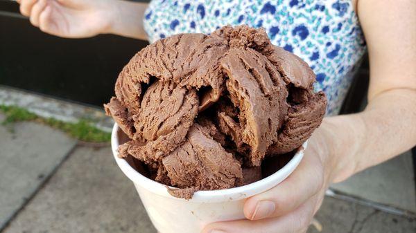 Vegan dark chocolate scoop ($5.25, cash only). Giant scoop. Tasted fine, but was likely a store brand.