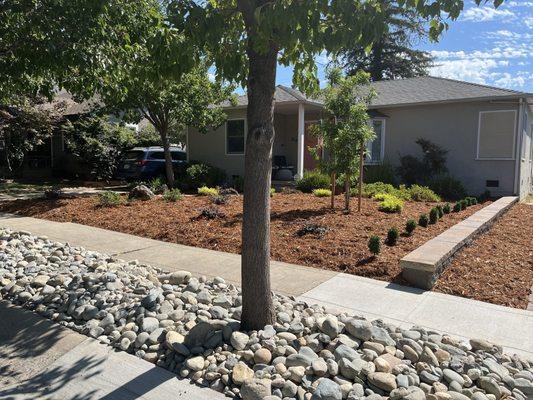 Front yard landscape & irrigation