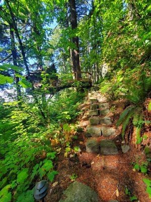 Treehouse trail