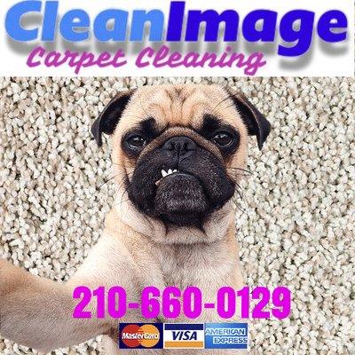 "Clean Image" Do you have a pet odor on your carpets that doesn't let you sleep? We offer carpet odor control! 
 210-660-0129