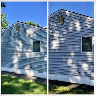 Before and after power washing, the algae growth was a lot worse in person and they really washed it away.