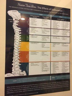 Your Brain and Spinal Cord control and regulate every cell, tissue and organ in your body