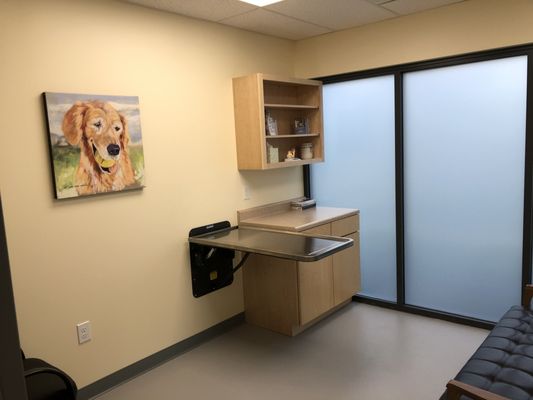 Our exam rooms have lots of natural light, which makes for very cheery spaces.