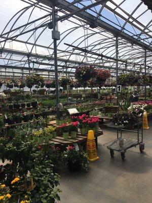 Indoor and outdoor selection of plants and vegetables.