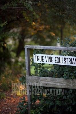 True Vine Equestrian Center