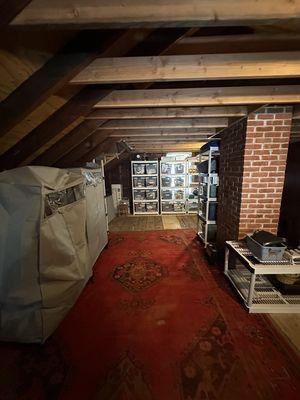 #attic