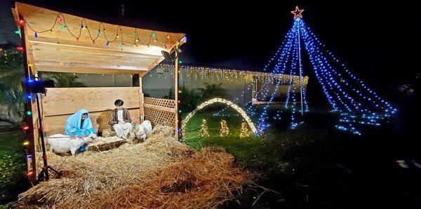 Live Nativity