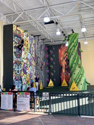 Rock Climbing Wall