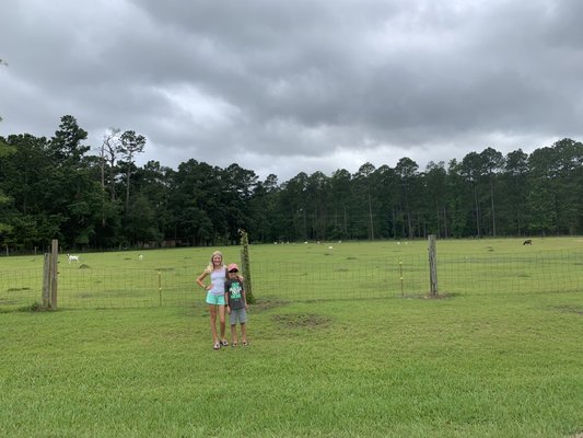 Walking the marina property lead us to discover a field of goat!