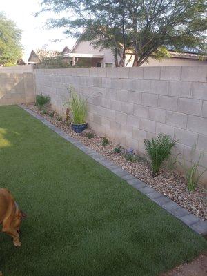 Small landscape area we installed next to the turf complete with irrigation