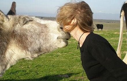 Colleen with Waylan, the Beautiful Burro II