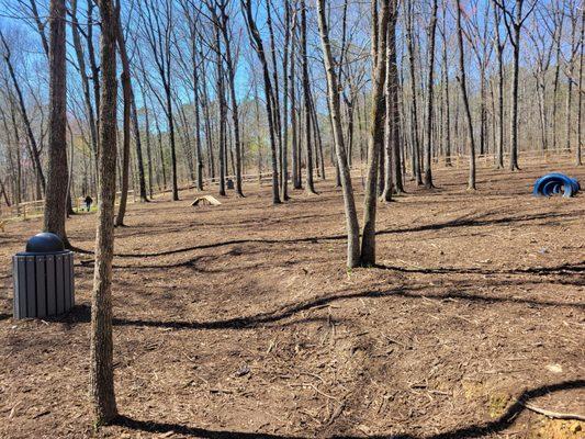 Inside the dog park enclosure.