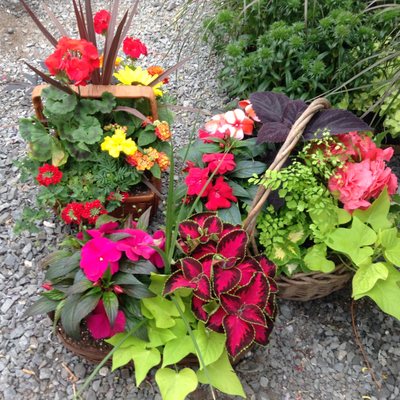 Summer shade baskets