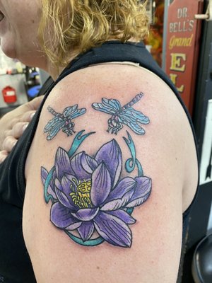 Lotus flower and dragonflies