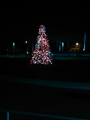 here's the Christmas tree in Wildwood outside of Fox park #50dollartech