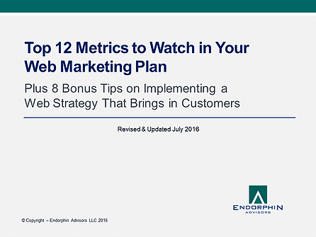 Top 12 Metrics to Watch in Your Web Marketing Plan, by Endorphin Advisors at http://www.endorphinadvisors.com/guidesandebooks