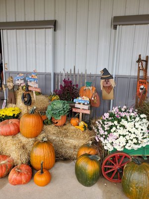 Helens Greenhouses & Flower Farm