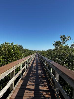 Ponce Inlet Preserve