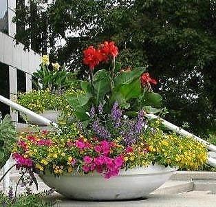 Our container gardens add interest!