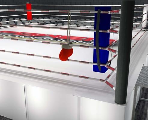 Boxing Ring Close-Up