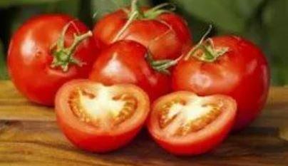 Tomatoes Of Ruskin Inc