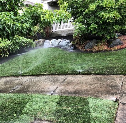 Irrigation and lawn install