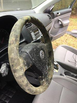 steering wheel before