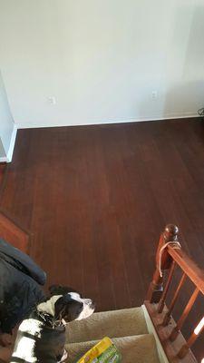 Bamboo floors