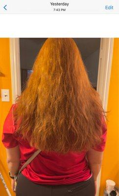 the photo of what my hair looked like