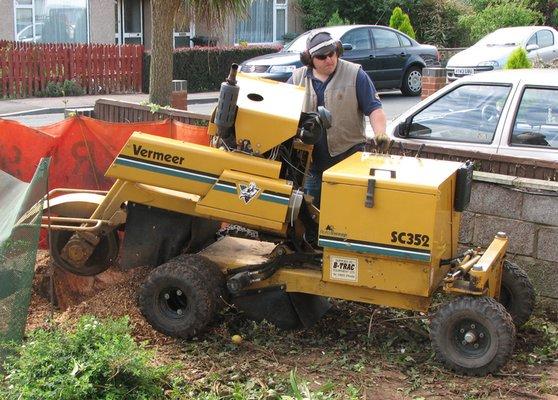 Tree Service Cary Stump Grinding