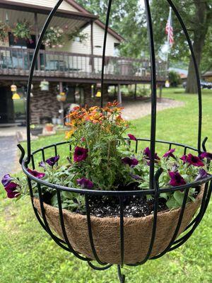 Off center plant with tiny petunias.