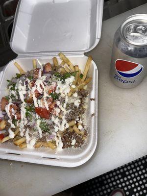 These are asada fries with onion, cilantro, tomato, sour cream and grated cheese on top