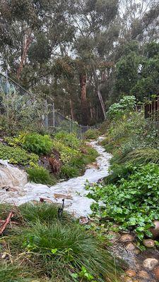 A nature made creek with a landscape that's brings beauty to life.