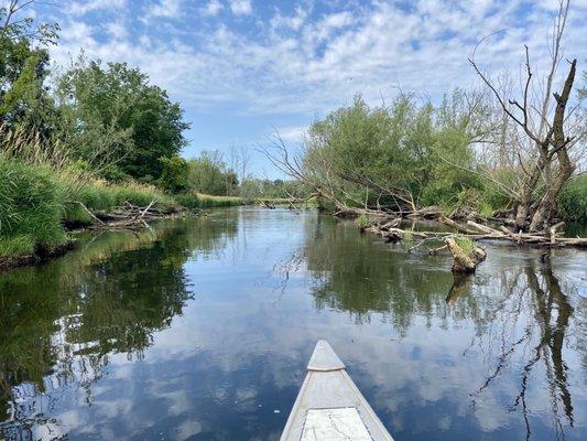 T & L Country Canoes