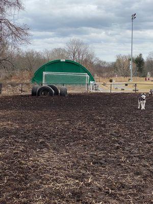 Westwood Dog Park