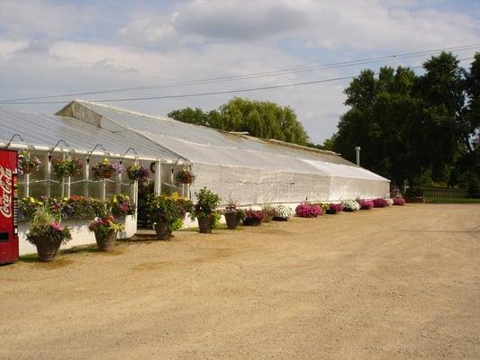 Janzen's Greenhouse