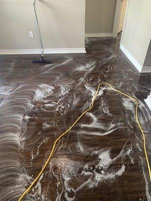 Vinyl floor cleaning