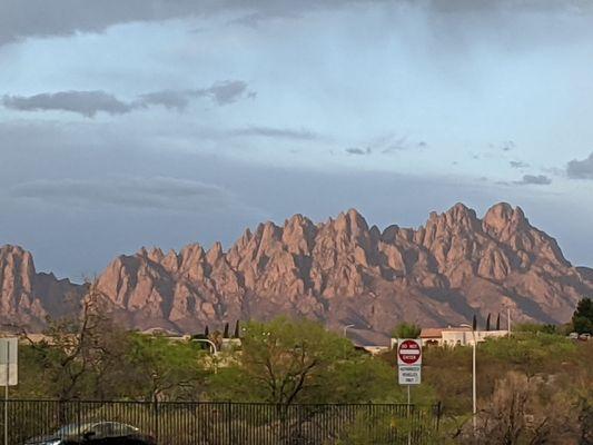 View of the Organ Mountains from the park.