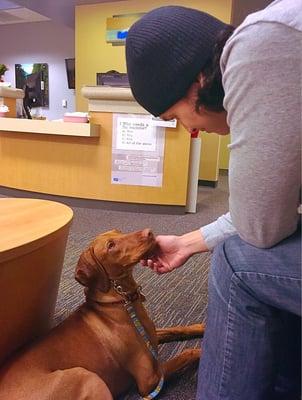 SoSuke (9month old Vizsla) assuring her Daddy everything will gonna be alright during a clinic visit at the VA.