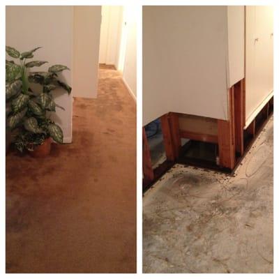 Our SERVPRO of South Austin Technicians extracted the water and performed the necessary demolition from this home in Salado.