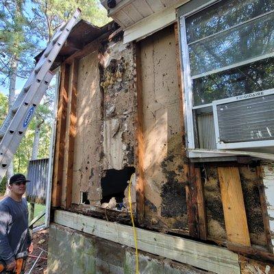 Wood decay and termite damage repairs