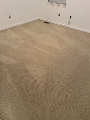 Carpet cleaning