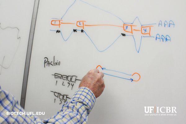 UF | ICBR at the Cancer & Genetics Research Complex at the University of Florida