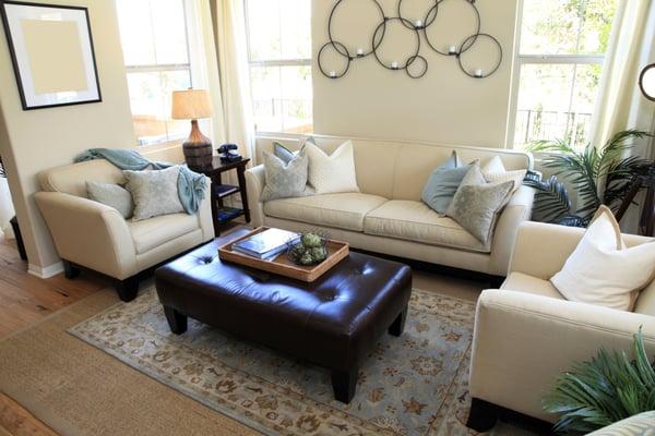 Furniture cleaning Chicago & surrounding suburbs